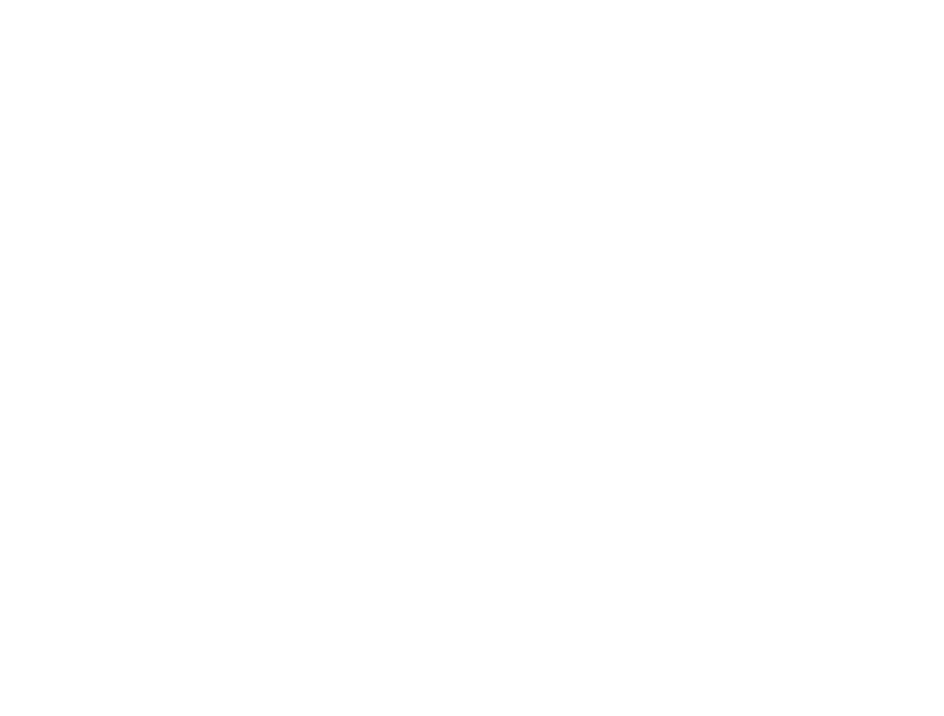 cognite-1