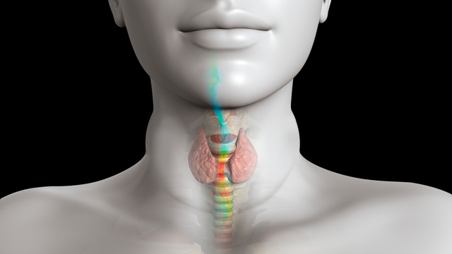 Simulation & Testing for Medical Devices