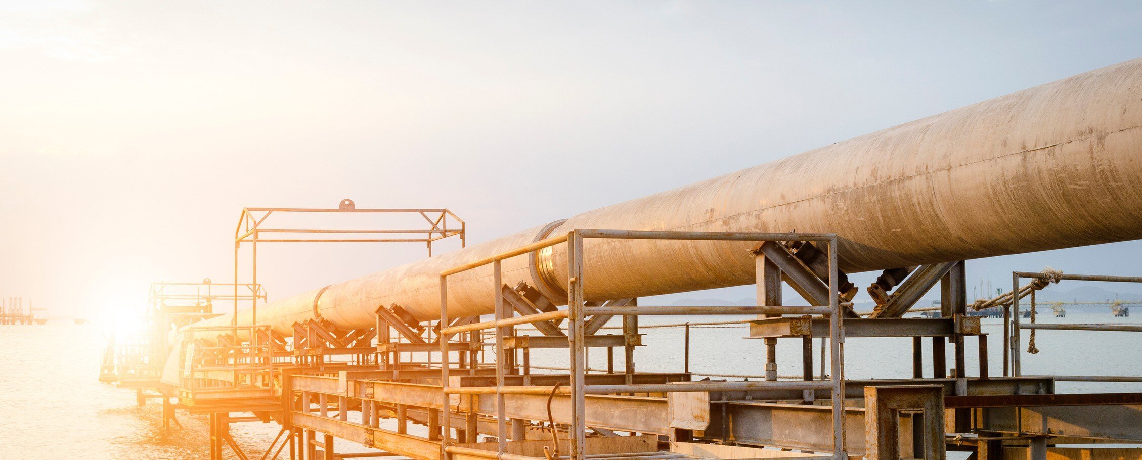 Paraffin Wax Stripping in Field-Scale Pipelines